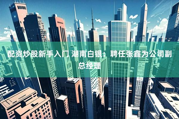配资炒股新手入门 湖南白银：聘任张鑫为公司副总经理