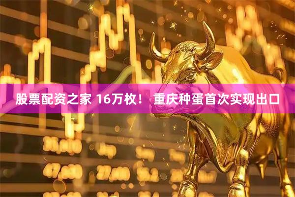 股票配资之家 16万枚！ 重庆种蛋首次实现出口
