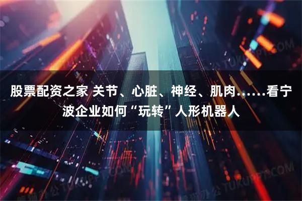 股票配资之家 关节、心脏、神经、肌肉……看宁波企业如何“玩转”人形机器人