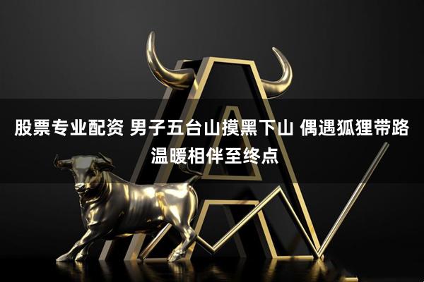股票专业配资 男子五台山摸黑下山 偶遇狐狸带路 温暖相伴至终点